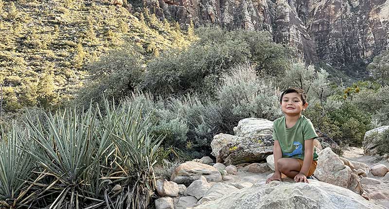 Nevada ECAC About Us Our Purpose Child seated among desert plants and rocks